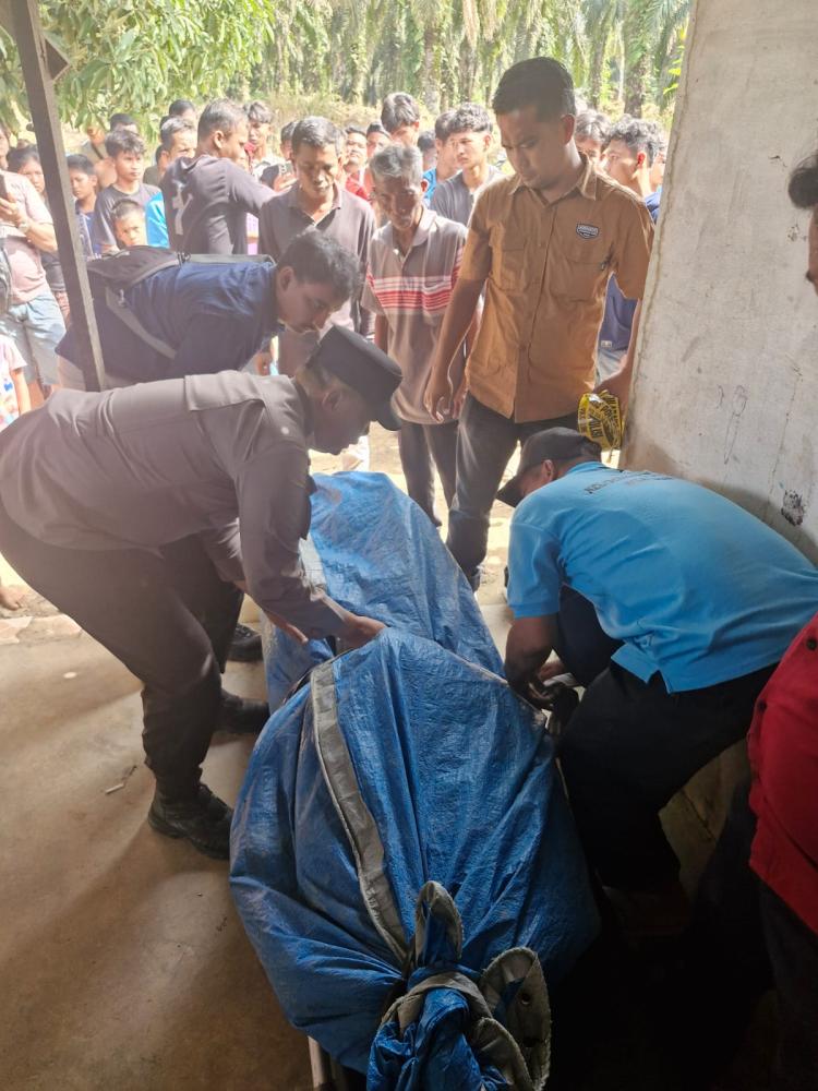 Anak Diduga Habisi Ayah Kandung di Talang Muandau, Polres Bengkalis Amankan Pelaku di TKP